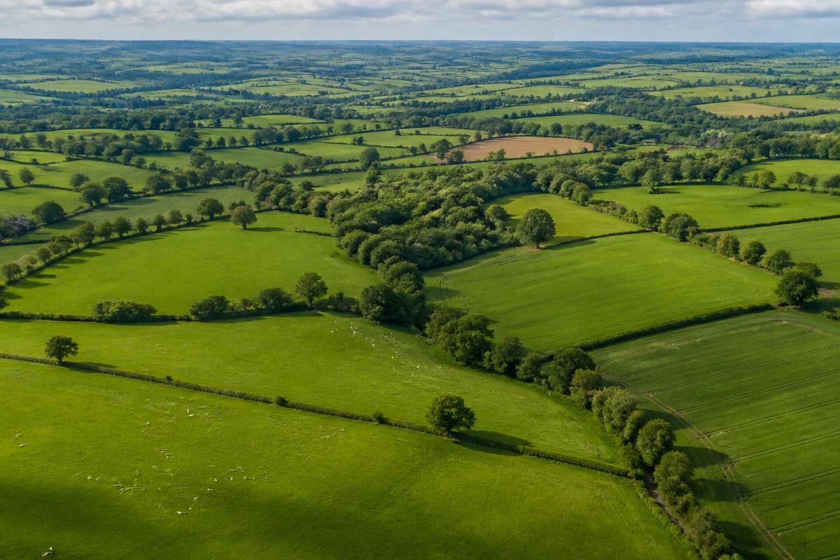 Land Business Loan