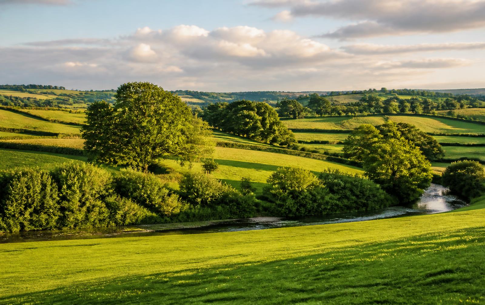 Land Business Loan